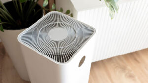 Qué diferencia hay entre purificador y extractor de aire que-diferencia-hay-entre-purificador-y-extractor-de-aire